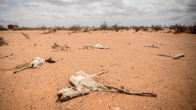 kekeringan di somalia